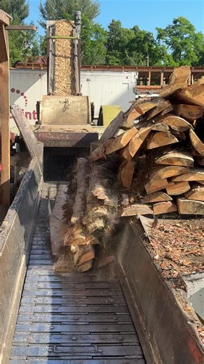 Satisfying Wooden Creations with Raw Lumber