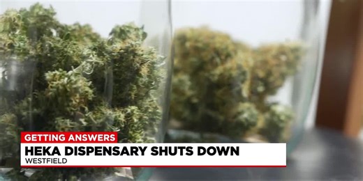 Local marijuana dispensary highlights importance of combatting over-saturation