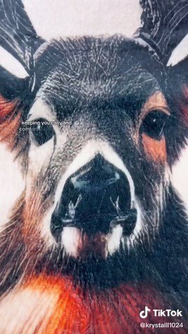 You have to check out this super soft throw blanket!🥰#blanket #softblanket #deerpattern #globalpick #tiktokshopblackfriday