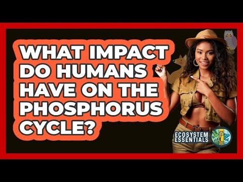 What Impact Do Humans Have On The Phosphorus Cycle? - Ecosystem Essentials
