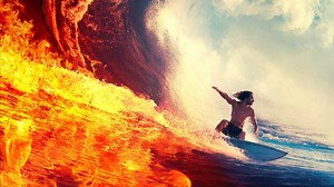 Animal Kingdom 2016 full Serie online Seriesonlinehd.net