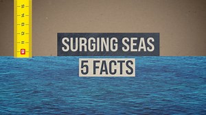 1.7K views · 53 reactions | What is sea level rise and why does it matter? Here are 5 facts. | UN Geneva | Facebook