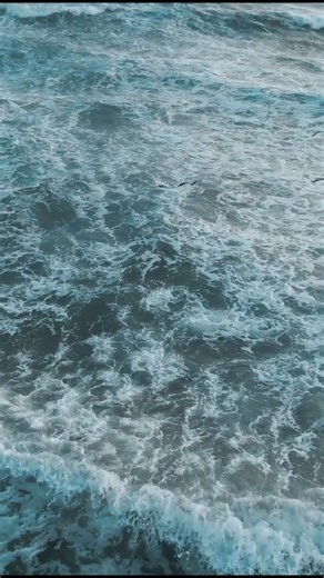 64K views · 563 reactions | 30 knot winds. Rolling surf. And striped bass massacring bait in the wash. This is what the fall run is all about. Yesterday morning I walked into a full-blown blitz. Birds diving. Bass feeding. Cast after cast producing fish.  #CapeCod #StripedBass #FallRun #Surfcasting #MyFishingCapeCod | My Fishing Cape Cod | Facebook