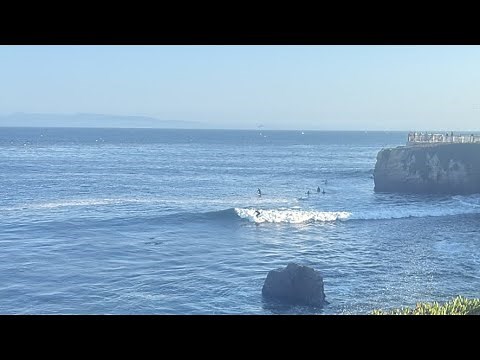Surfing Legends at Steamer Lane 🏄‍♂️ Santa Cruz LIVE #SteamerLane #SantaCruz #Surfing #oceanvibes