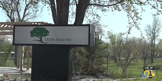 Trees Forever: Last week for tree adoptions
