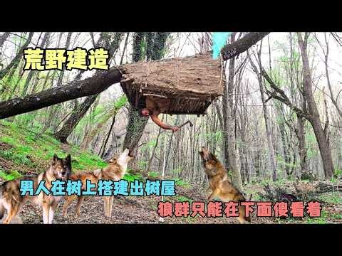 Building a Treehouse in the Wild: A Man's Adventure with Wolves Below