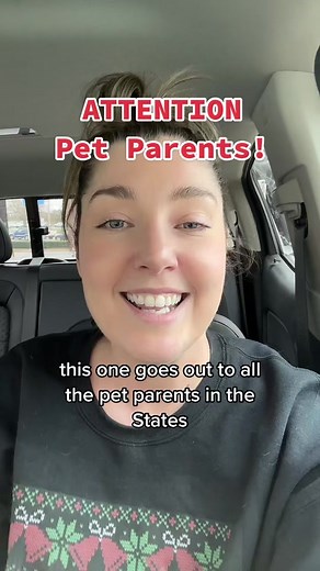 Snake Bite Prevention: Keeping Your Pets Safe