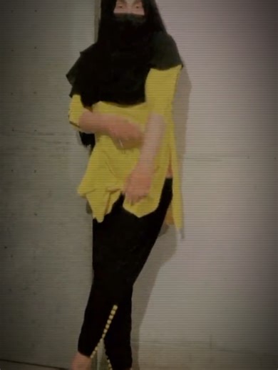 Explore Saraiki Status Updates for TikTok Fans