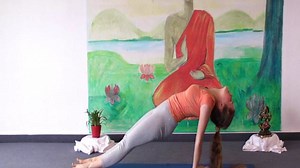 Beginner's Yoga Class 20 Minutes