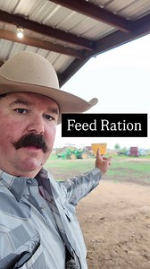 146K views · 2.4K reactions | Our feed ration for feedlot steers #Feedlot #FeedRation #Steers #Beef #EatBeef #Ranch #Ranching #KeepRanchin | Bar 7 Ranch | Facebook