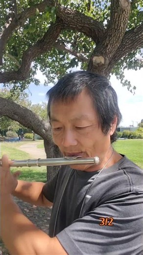 #Flute #ClassicalMusic #Hymn #Worship #Music #长笛 #古典音乐 #赞美诗 #乐器演奏 #音乐