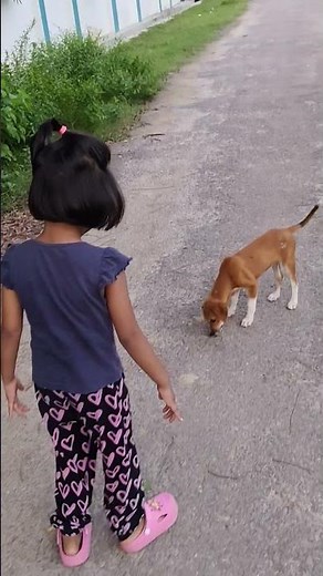 dog 🐕#shorts #funny #emotional #comedy #ytshorts #trending #viral #dog #youtubeshorts