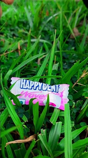 Happydent Wave chewing gum