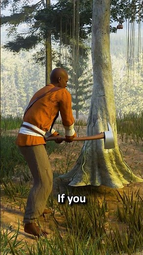 Why does this tree bleed like a human? #bloodwoodtree