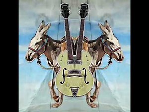 Stereo Donkey - Swamp Thing (Hiro Yamamoto of SOUNDGARDEN)