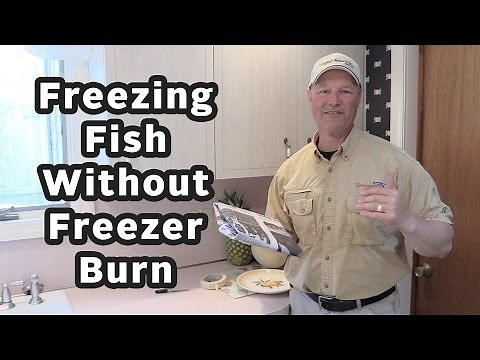 The Best Way to Freeze Fish and Avoid Freezer Burn | Thundermist Quick Fishing Tips