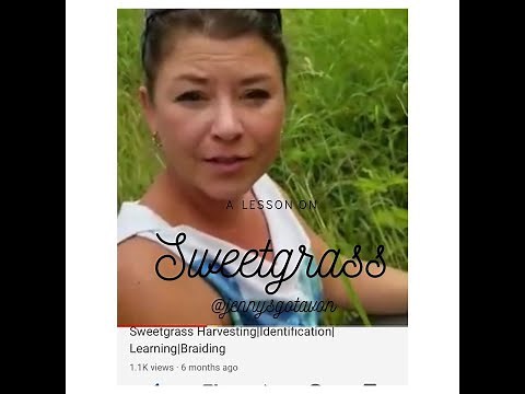 Sweetgrass Harvesting Identification Learning Braiding