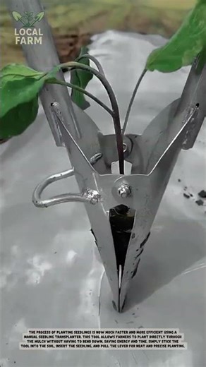 Revolutionize Your Gardening: How to Use a Manual Seedling Transplanter!