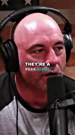 Joe Rogan Explains Why Cheetahs Are Actually Nice