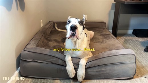 The Friend Movie - Bing Messi FaceTime