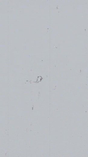 1.4K views · 24 reactions | Curious about baptism or ready to take the step? Join our baptism class this Sunday and discover what is next!  | Waters Church | Facebook