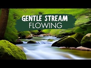 Stress Relief at Its Best: Let the Gentle Stream Whisper Away Your Worries | Gentle stream flowing