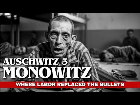 AUSCHWITZ - 3 | MONOWITZ - Inside Buna Camp | Fall Asleep To ENTIRE History of WW2 Nazi Documentary