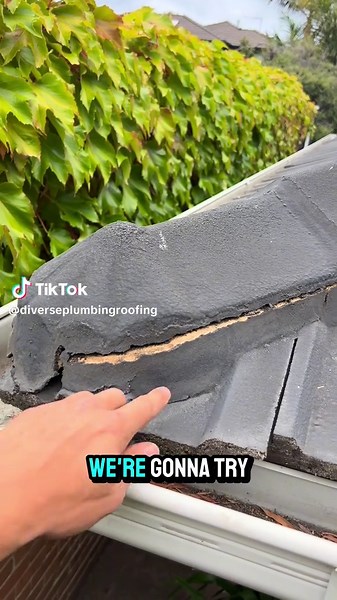 Roof Tile Maintenance: How to Repoint Your Roof