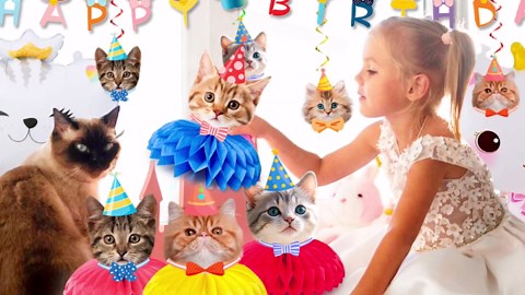 27 Pcs Cat Birthday Party Decorations, Cat Birthday Banner Foil Balloon Honeycomb Centerpieces Kitten Hanging Swirl Decorations for Kitten Party Supplies