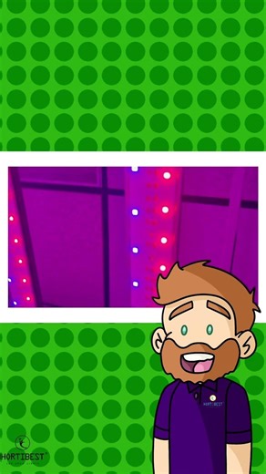 What LED Grow Light should I start with?