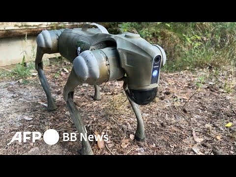 ウクライナ軍、前線に「ロボット犬」投入へ（2024年8月撮影）