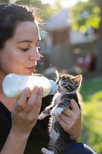 Cute Cat Drinking Milk with Love | Pure Care, Calm & Cozy Moments