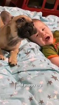 When Dogs and Humans act alike 😂❤️ Part - 2