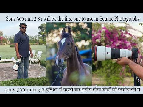 sony 300 mm २.8 दपहली बार प्रयोग होगा घोड़ों की फोटोग्राफी में sony 300 mm in equine photography