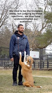 April Fools… but our dogs aren’t falling for it! Or are they? 😂#WhoPrankedWho | Dog Tales Rescue and Sanctuary