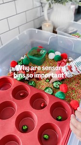 33K views · 54 reactions | But why rice bins? CHRISTMAS RICE...