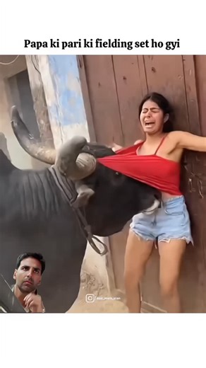 Tandoori Memes 🍗 on Instagram: "तुम जानते हो? जापान अब “चलते कदमों” से बिजली बना रहा है! ⚡ जापान में अब ऐसी पाइज़ोइलेक्ट्रिक (Piezoelectric) टाइलें लगाई जा रही हैं, जो तुम्हारे हर कदम से पैदा होने वाली ऊर्जा को बिजली में बदल देती हैं! 🔋 जब लोग इन टाइलों पर चलते हैं, तो उनका वजन और हलचल टाइलों पर दबाव डालता है, जिससे टाइल हल्के से झुकती है और मैकेनिकल स्ट्रेस पैदा होता है। टाइल के अंदर मौजूद खास पदार्थ इस दबाव को इलेक्ट्रिक चार्ज में बदल देते हैं। ⚙️ हर कदम से थोड़ी-थोड़ी बिजली बनती है, लेकिन ज