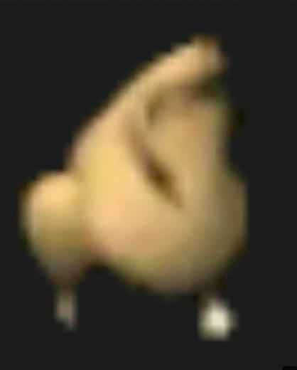 Chicken Walking: A Fun Take on Chickens in Motion