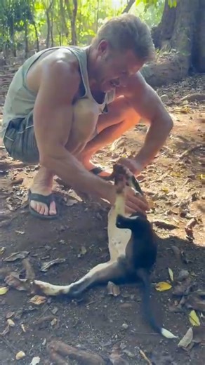 Trevor Donovan on Instagram: "He needs a name, any suggestions? 🤔 Three legs, zero quit. He's disabled, born with one leg growing on his back. He stumbles a bit when he gets excited, but he picks himself up every single time. 💚 This little guy at Nosara animal shelter in Costa Rica 🇨🇷 is the definition of resilience. #rescuepup"