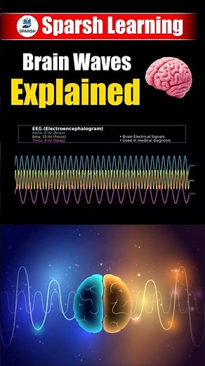 EEG: How Your Brain Talks in Waves! ⚡🧠