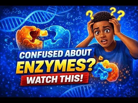 ''Enzymes Explained Simply I Biochemistry Made Easy''