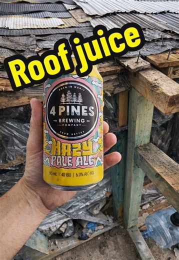 Understanding Roofing Defects: A Construction Fail Analysis