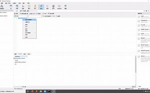 【吴明数据分析系列之SQL课程】1.07. 使用Navicat编辑和运行SQL