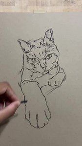 1 hour sketch! 🐈‍⬛ | Ryan Mirzaun