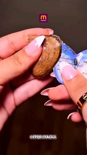 Offer Macha on Instagram: "✨ Oyster Pearl Necklace Set 🤍 Classy • Elegant • Everyday Royal Look Follow offer macha Comment for link 🔗 The perfect pearl set to match all your outfits ✨ Soft shine, premium finish & a rich look without heavy weight. 💫 Lightweight 💫 Timeless design 💫 Must-have for every girl Pair it with sarees, kurtis or western fits — looks stunning everywhere ✨💖 #meesho #pearlnecklace #affordablefashion #womenstyle #jewellerylove #trendingreels#offermacha#wishlink #meeshofi