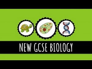 Evaporation and Transpiration - 9-1 GCSE Biology
