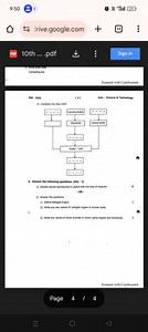 3) Complete the flow chart[Diagram of metabolic pathway with ... | Filo