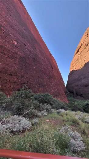 Walpa Gorge views, Kata Tjuta. Uluru. Australia #onlyinaustralia #outback #redrocks #natureshorts