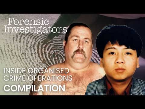 The dark world of organised crime | Forensic Investigators