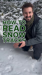 4K views · 157 reactions | ❄️ Decoding Snow Tracks: The Stories...